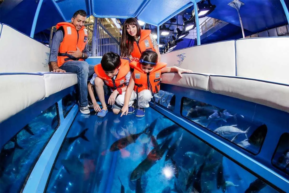 Passengers viewing marine life through a glass-bottom boat in Watamu